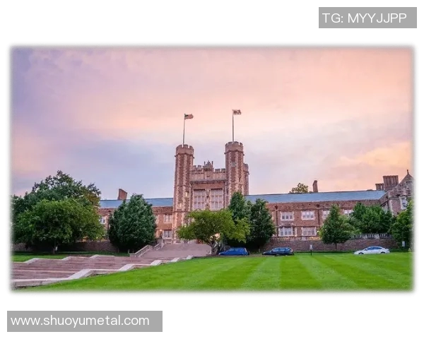 瑞士足球队90年代黄金一代球星回顾及其在国际赛场的影响