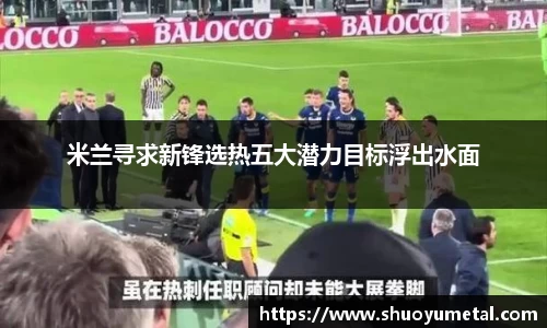 星空综合·(中国)官方网站