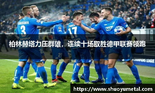 星空·综合体育官方网站