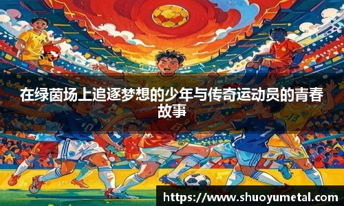 星空综合·(中国)官方网站